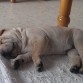 su primera siesta 